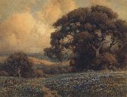 unknow artist, California landscape